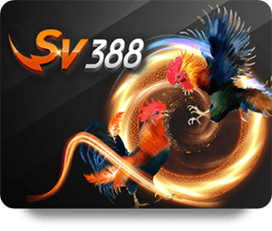 Understanding Soi Cầu: The Art of Winning Lottery Numbers